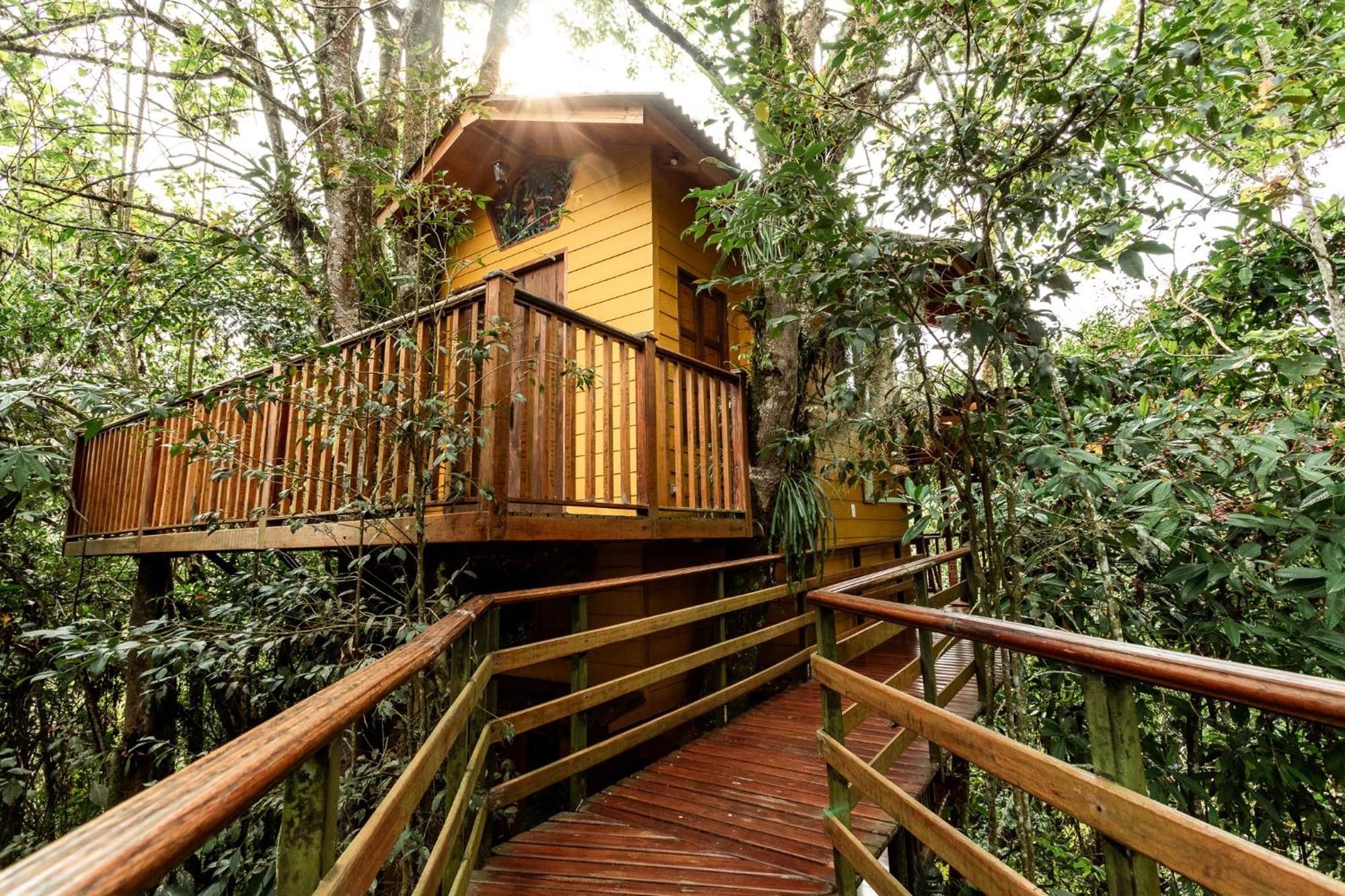 Tominejo Ecolodge - Casas En Los Arboles Neira المظهر الخارجي الصورة