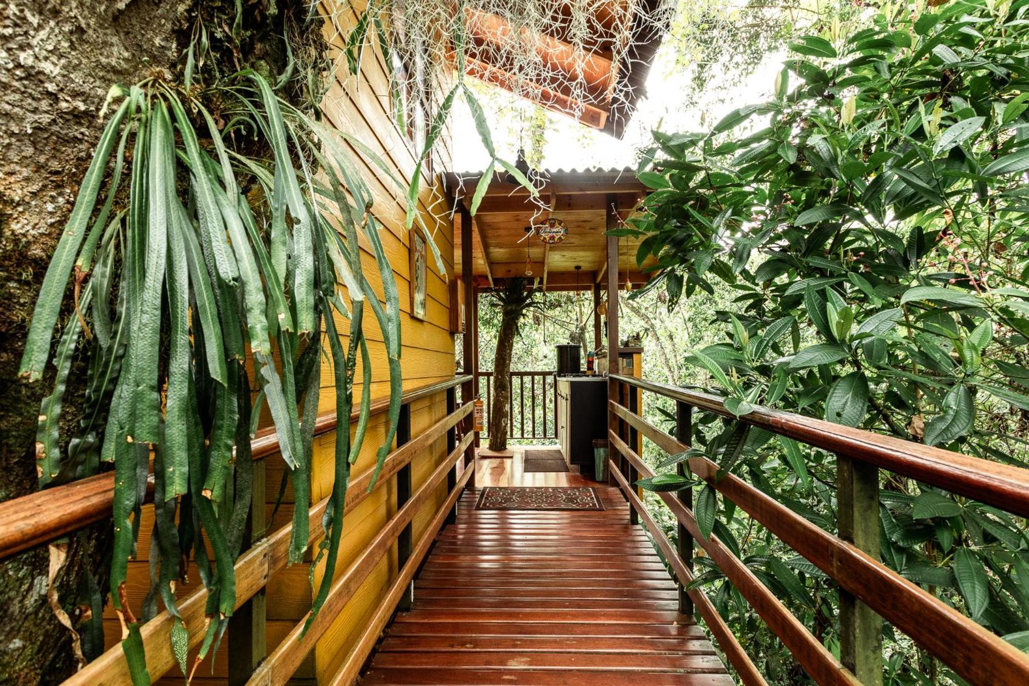 Tominejo Ecolodge - Casas En Los Arboles Neira المظهر الخارجي الصورة
