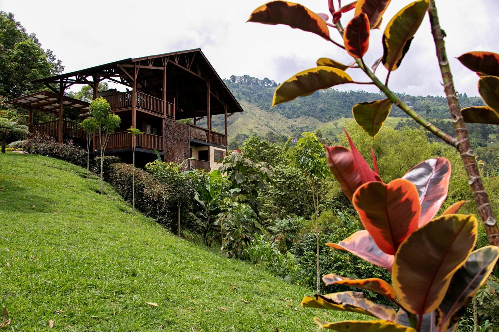 Tominejo Ecolodge - Casas En Los Arboles Neira المظهر الخارجي الصورة
